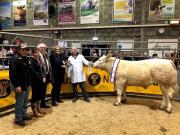 Thumbnail for article : Quality show forward at Caithness Christmas show and sale