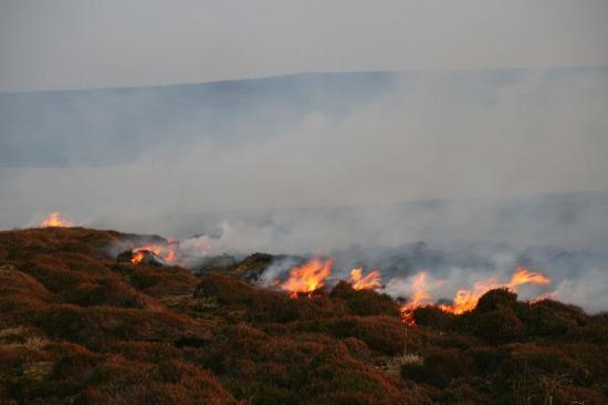 Photograph of Fire At Protected Area Gives SNH and Police Cause For Concern