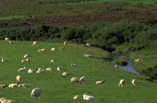 Photograph of Grants and Funding For Land Managers
