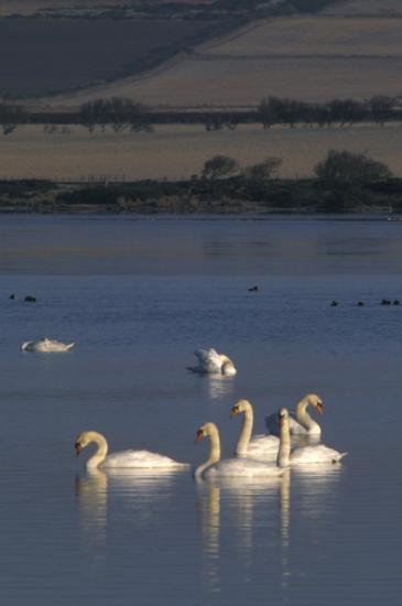 Photograph of SNH: new report will help inform renewables sector