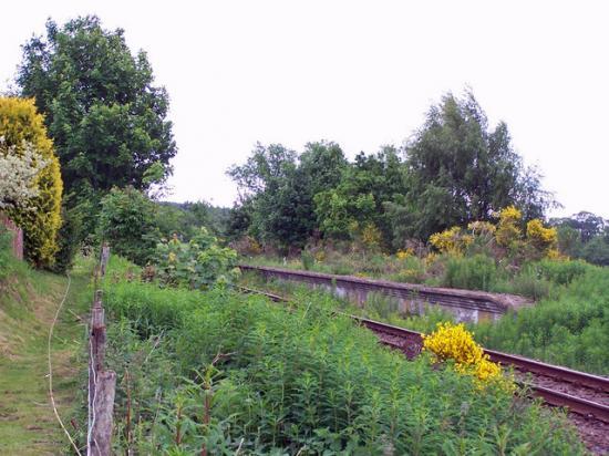 Photograph of Conon Bridge Station To Be Reopened Ahead of Kessock Bridge Works 