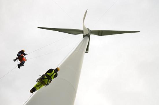 Photograph of Employment in renewables sees 5% growth in one year