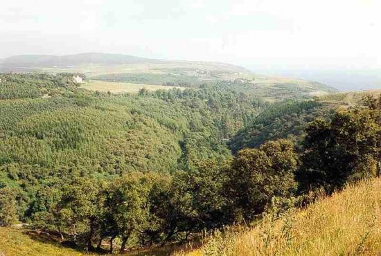 Photograph of Scottish Natural Heritage Highlights Funding Opportunities For Land Managers