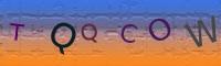 Visual CAPTCHA